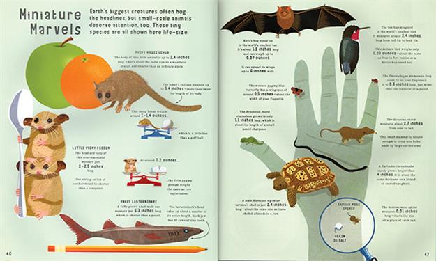Book of Comparisons, The