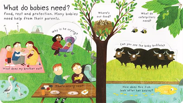 Lift-the-Flap First Questions and Answers: Where Do Babies Come From?