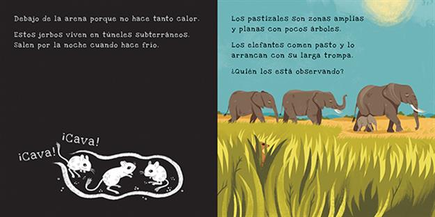 Secretos del planeta Tierra - Shine-a-Light Series