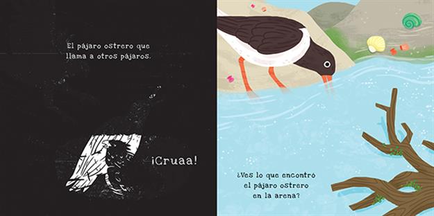 Secretos de la costa - Shine-a-Light Series