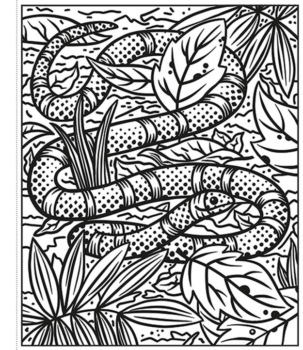 Rainforest Magic Painting Book