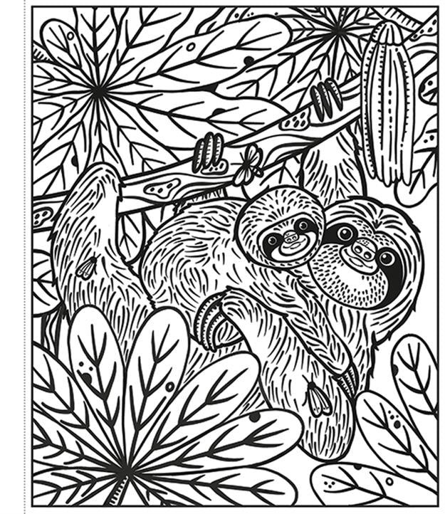 Rainforest Magic Painting Book