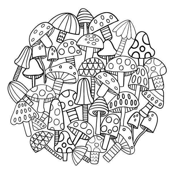 Forest Friends Everywhere & Oodles of Other Things