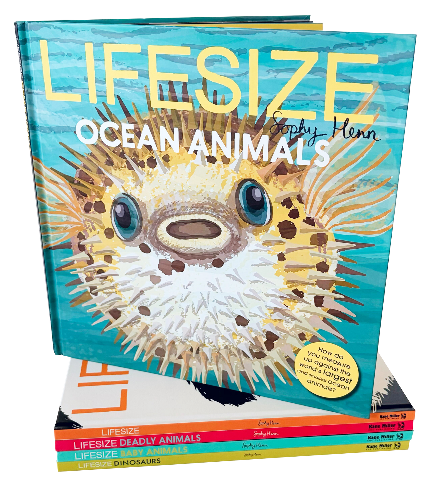 Lifesize Ocean Animals