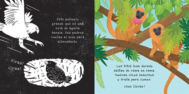 Secretos de la selva tropical - Shine-a-Light Series