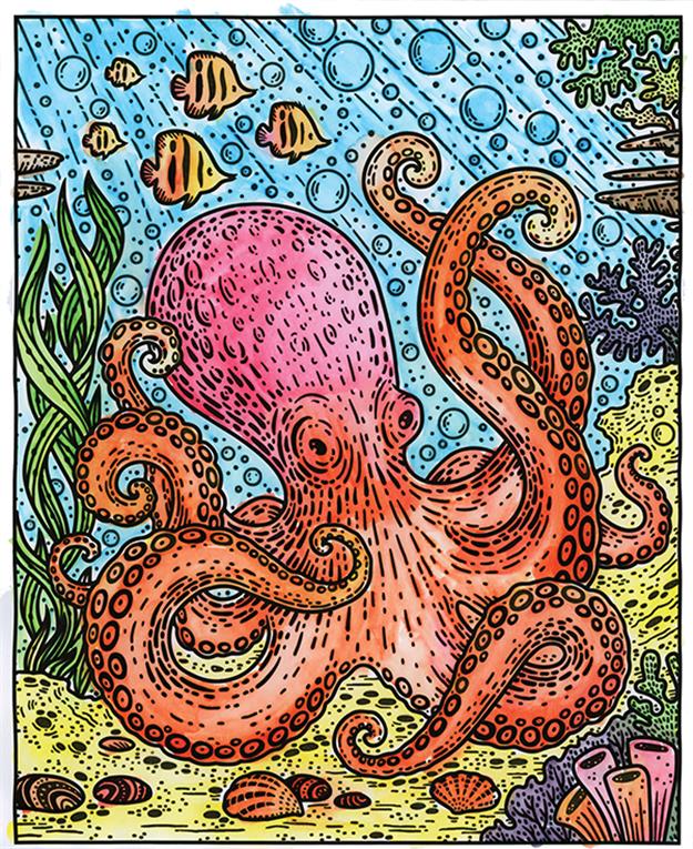 Narwhals and Other Sea Creatures Magic Painting