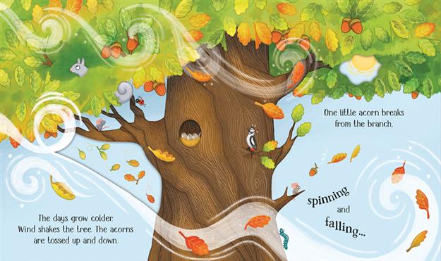 One Little Tree - Usborne Life Cycles