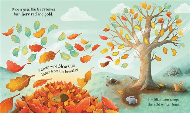 One Little Tree - Usborne Life Cycles