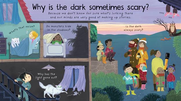 Lift-the-Flap First Questions and Answers: Why is it Dark at Night?