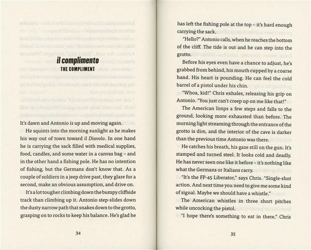 Boy and the Spy, The