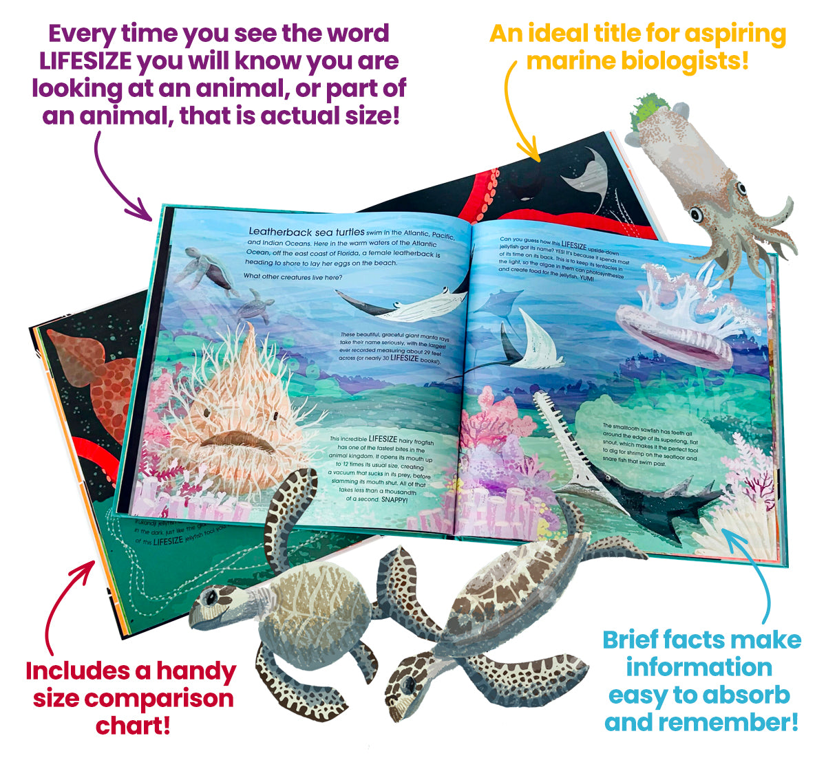 Lifesize Ocean Animals