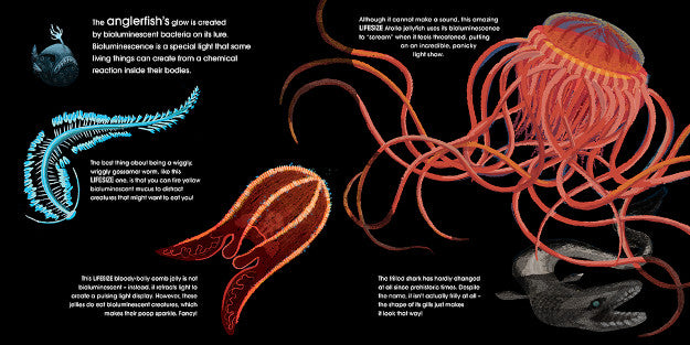 Lifesize Ocean Animals