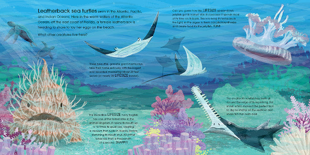 Lifesize Ocean Animals