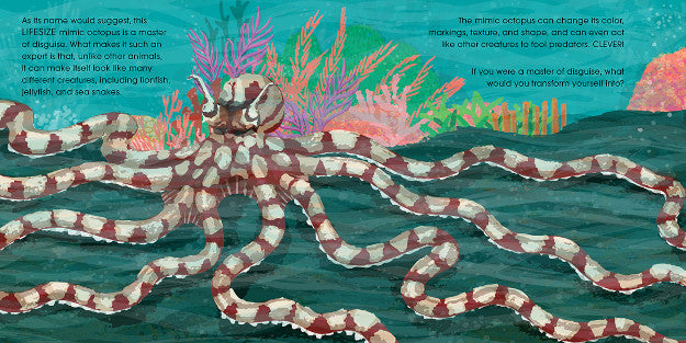 Lifesize Ocean Animals