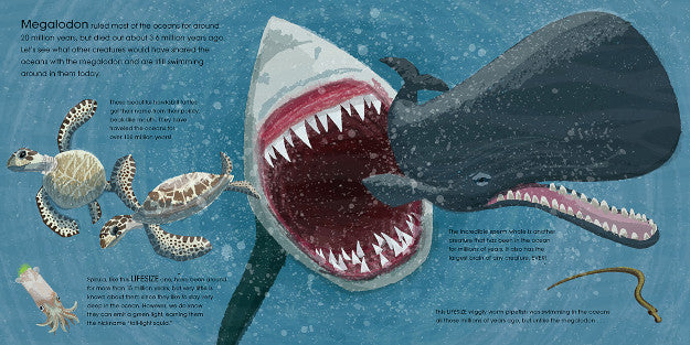 Lifesize Ocean Animals
