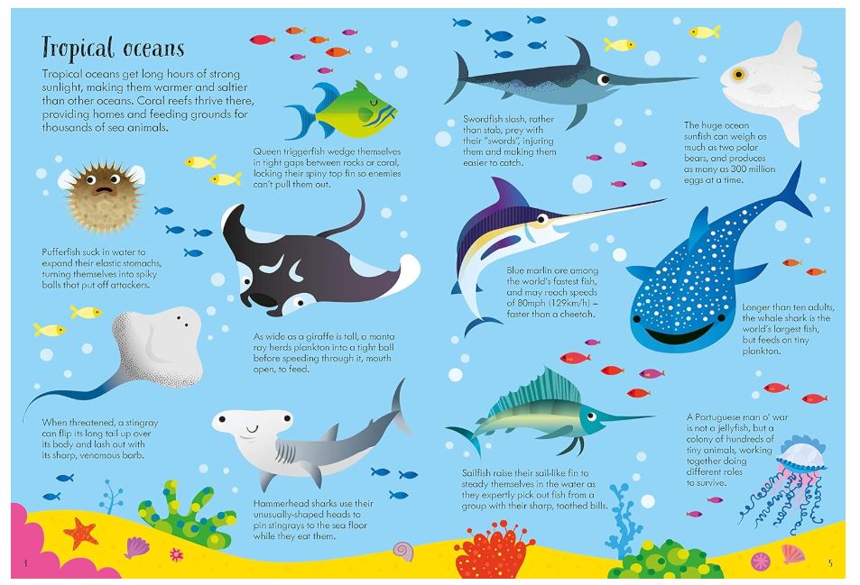 Animals of the World Book and Jigsaw (Usborne Book and Jigsaw)