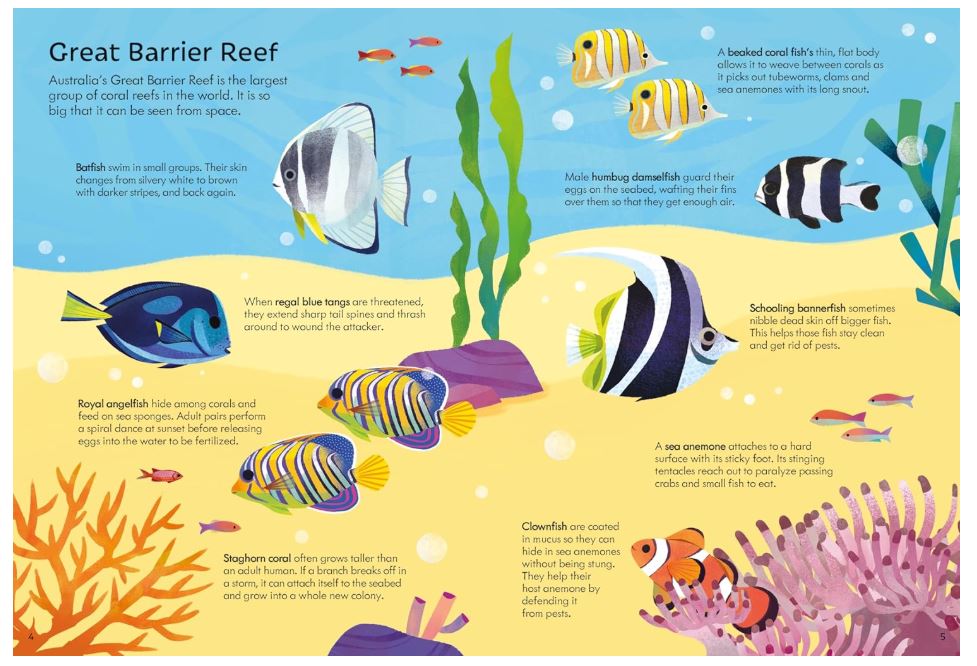 USBORNE BOOK AND JIGSAW CORAL REEF
