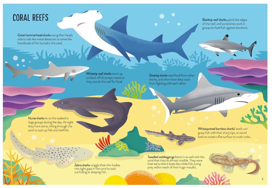 Usborne Book and Jigsaw: Sharks