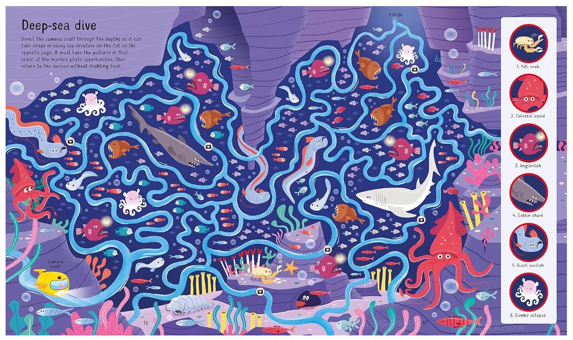 Book and Jigsaw Under the Sea Maze (Usborne Book and Jigsaw)